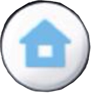 home button